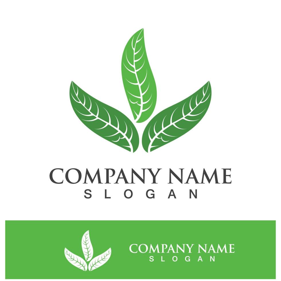 Green tree leaf nature logo images vector