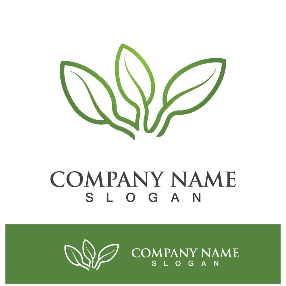 Green tree leaf nature logo images vector