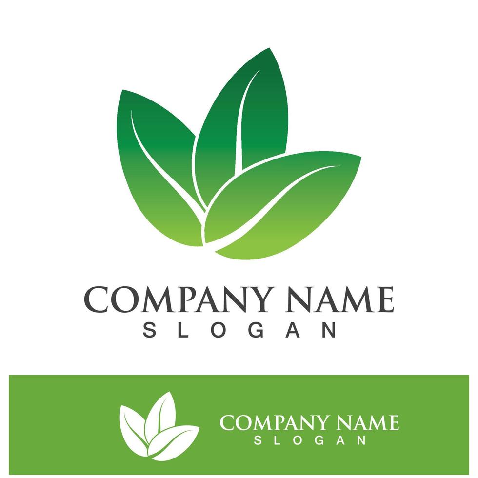 Green tree leaf nature logo images vector
