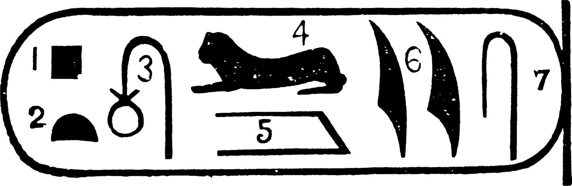 muestra de piedra rosetta o artefacto egipcio, grabado antiguo. vector