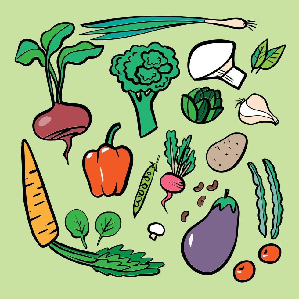 conjunto de vegetales coloridos, cosecha y fruto de acción de gracias de la naturaleza, recolección de alimentos para restaurantes, menús, carteles y bolsas de comestibles. vector