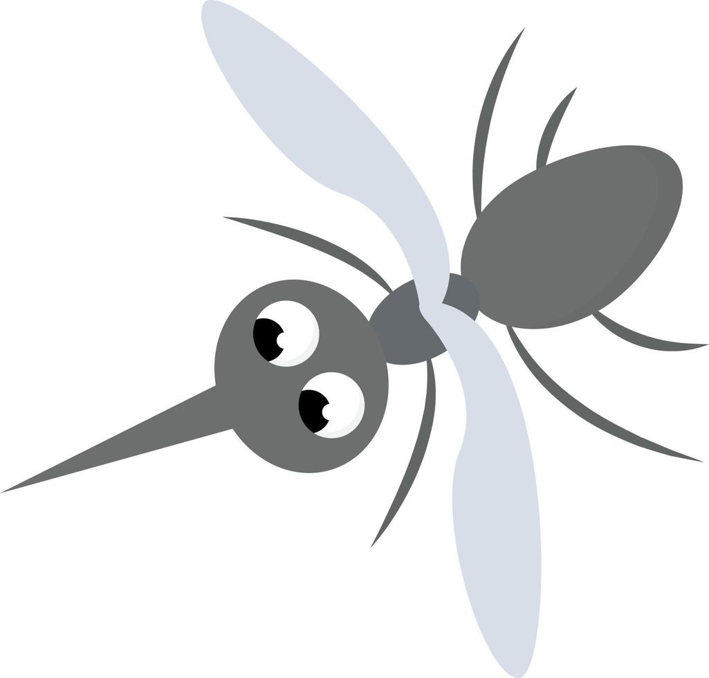 Mosquito, illustration, vector on white background.