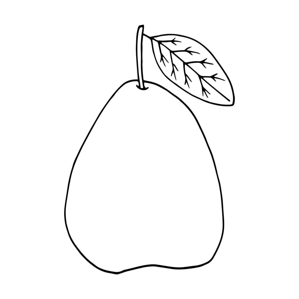 pear with leaf hand drawn in doodle style. fruit, food. icon, sticker. vector