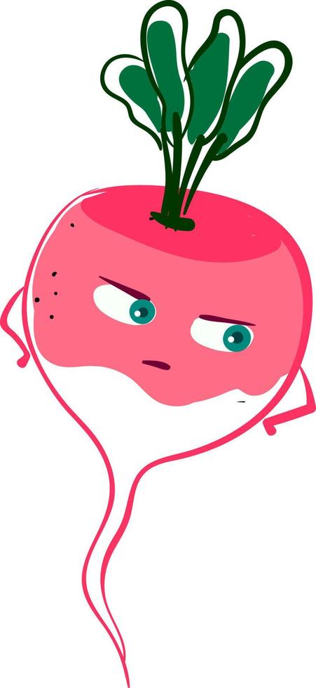 Angry radish, illustration, vector on white background.