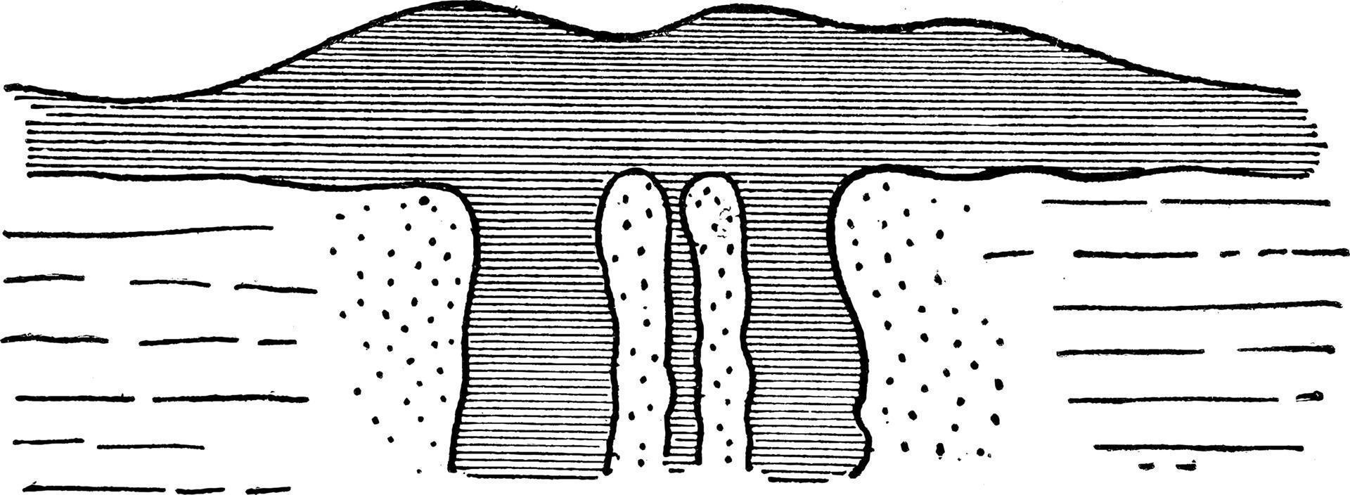 Metamorphosis Of Limestone, vintage illustration. vector