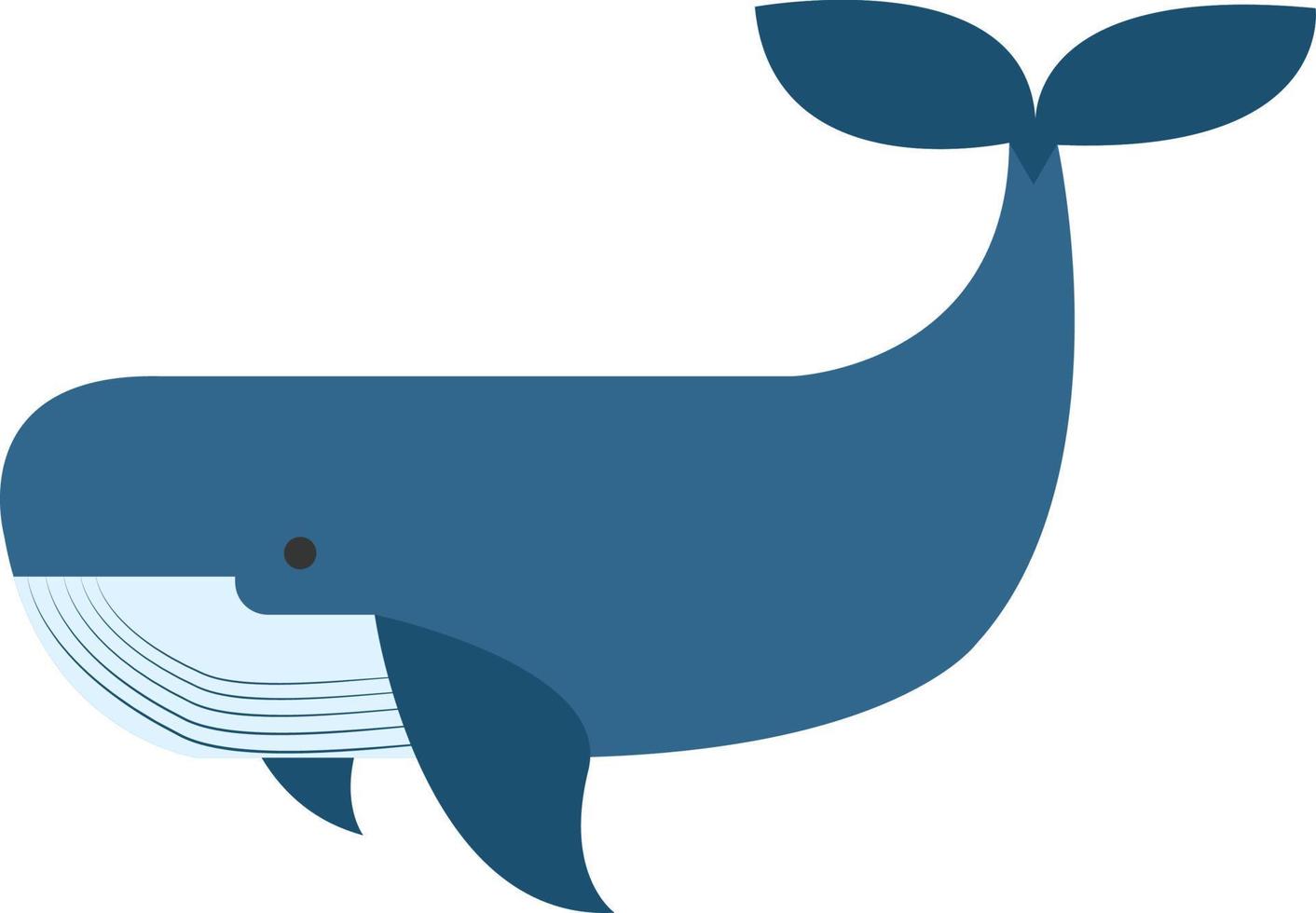 Blue whale, illustration, vector on white background.