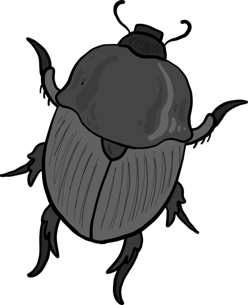 Gray beetle, illustration, vector on white background.