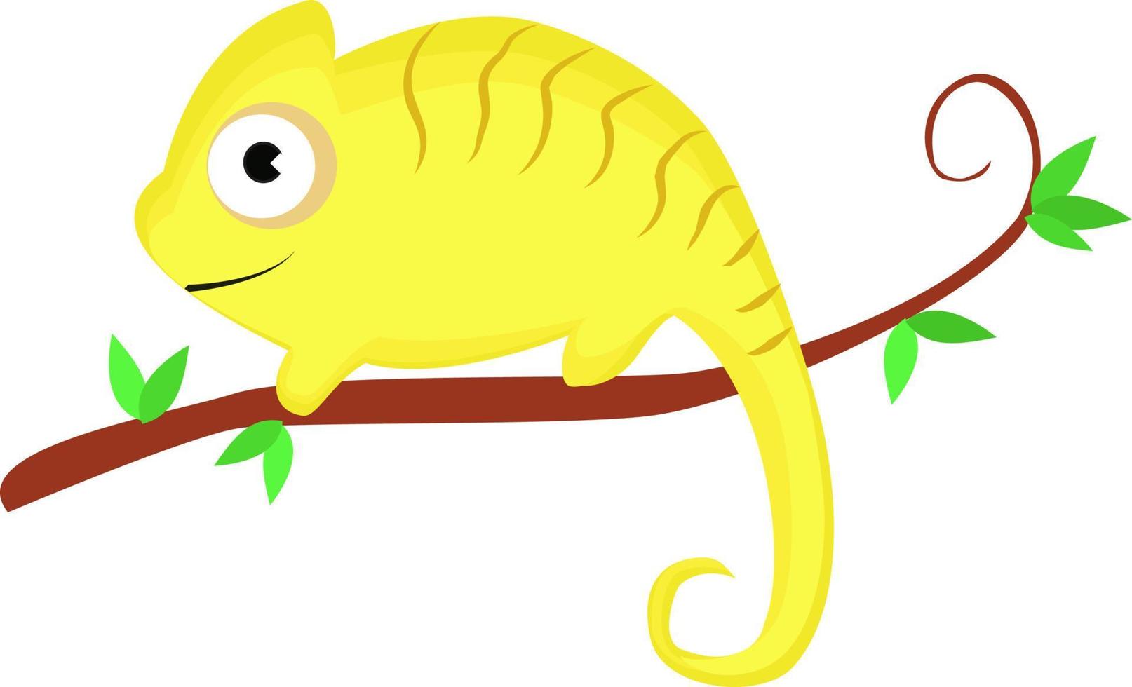 Chameleon on tree, illustration, vector on white background.