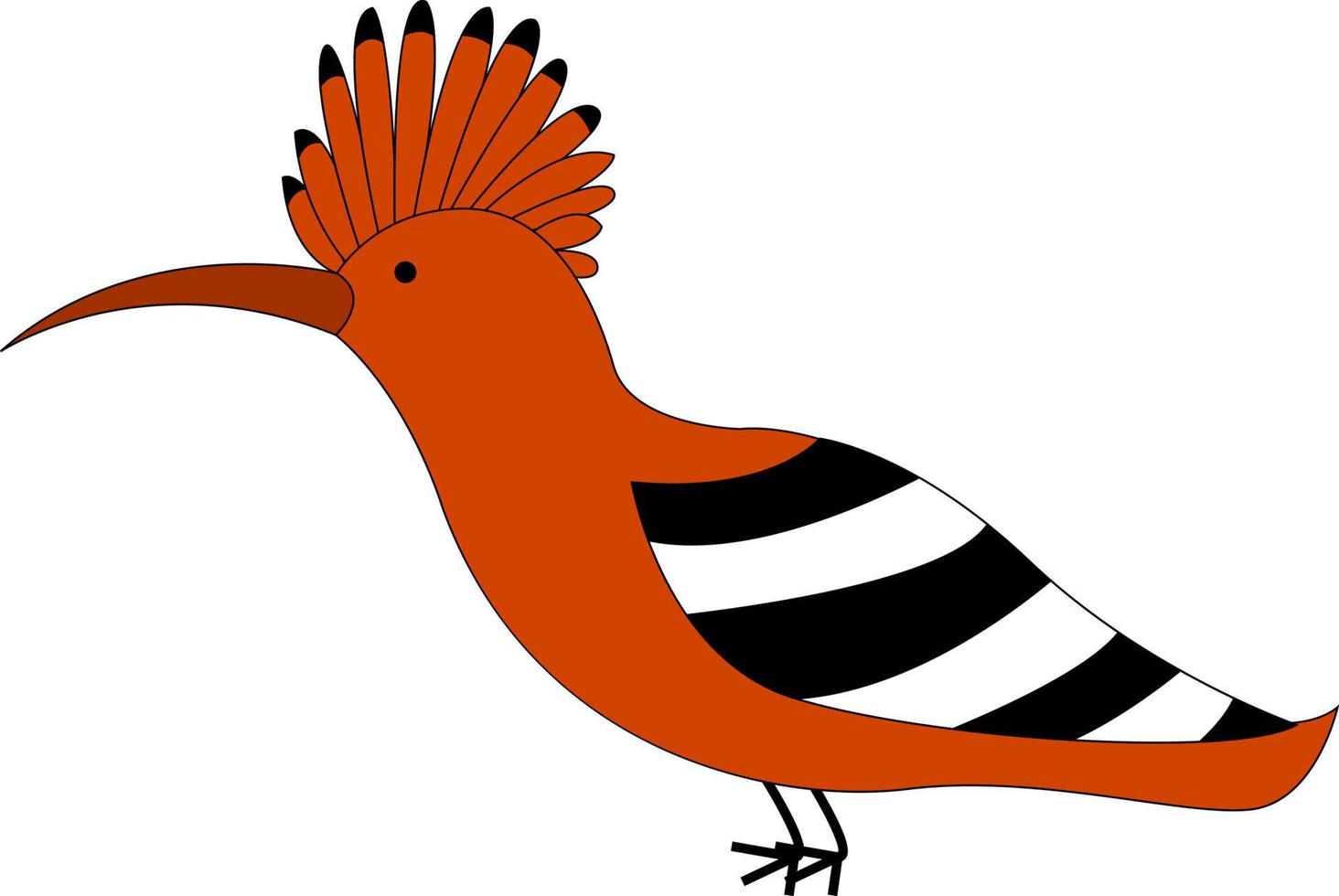 Eurasian hoopoe, illustration, vector on white background.