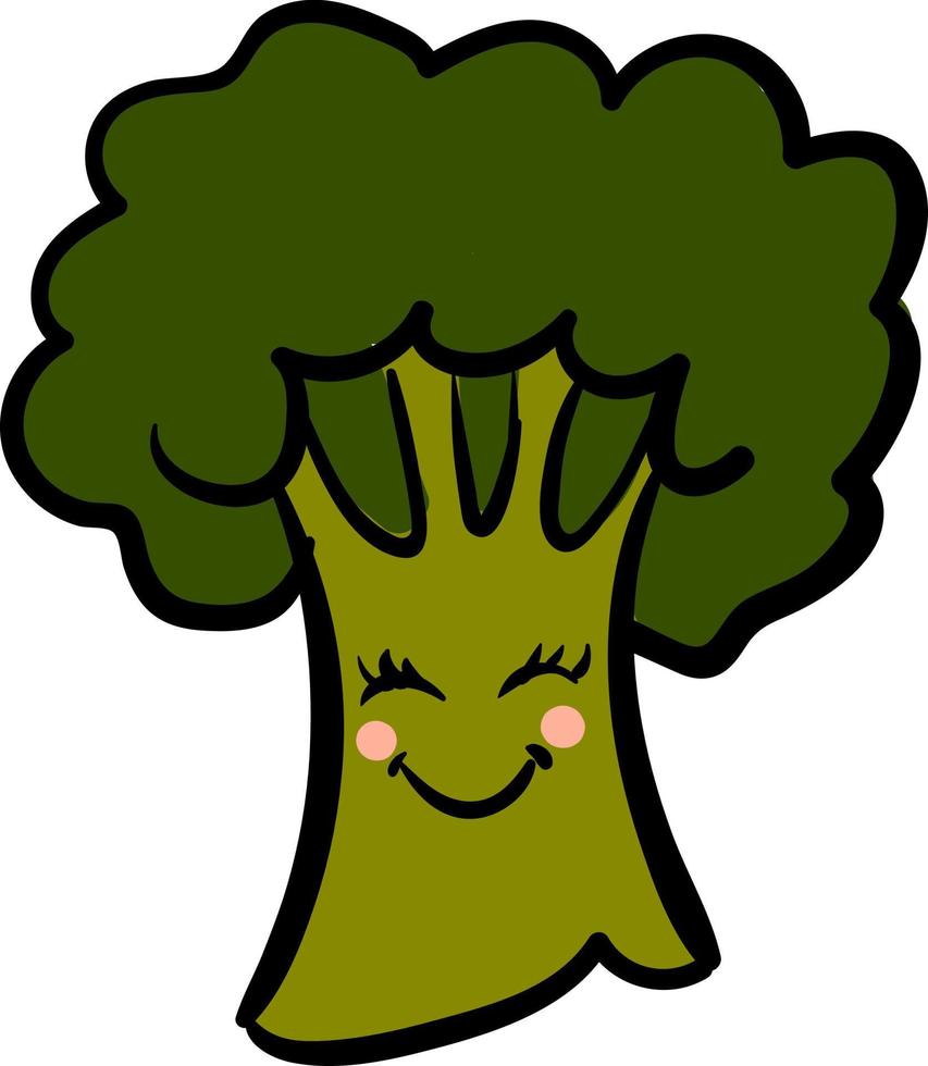 Cute broccoli, illustration, vector on white background.