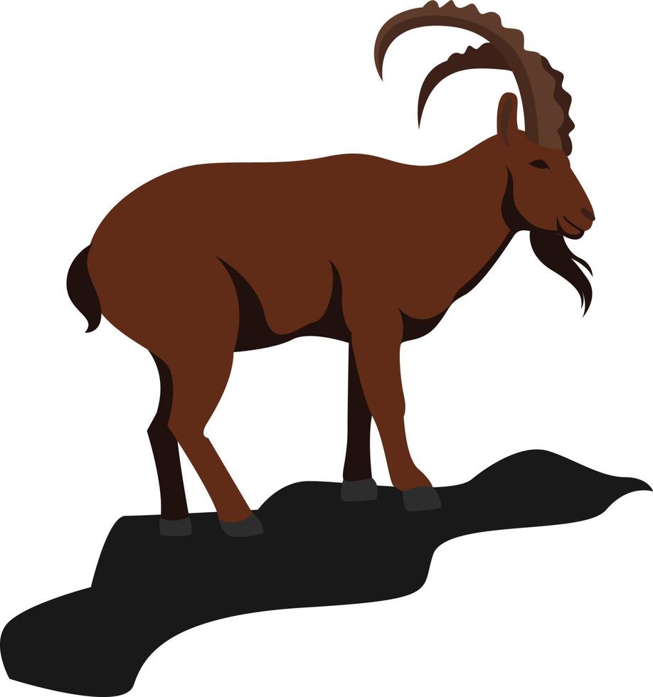 Mountain goat, illustration, vector on white background