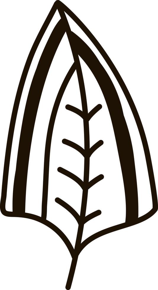 Birds feather, illustration, vector on a white background