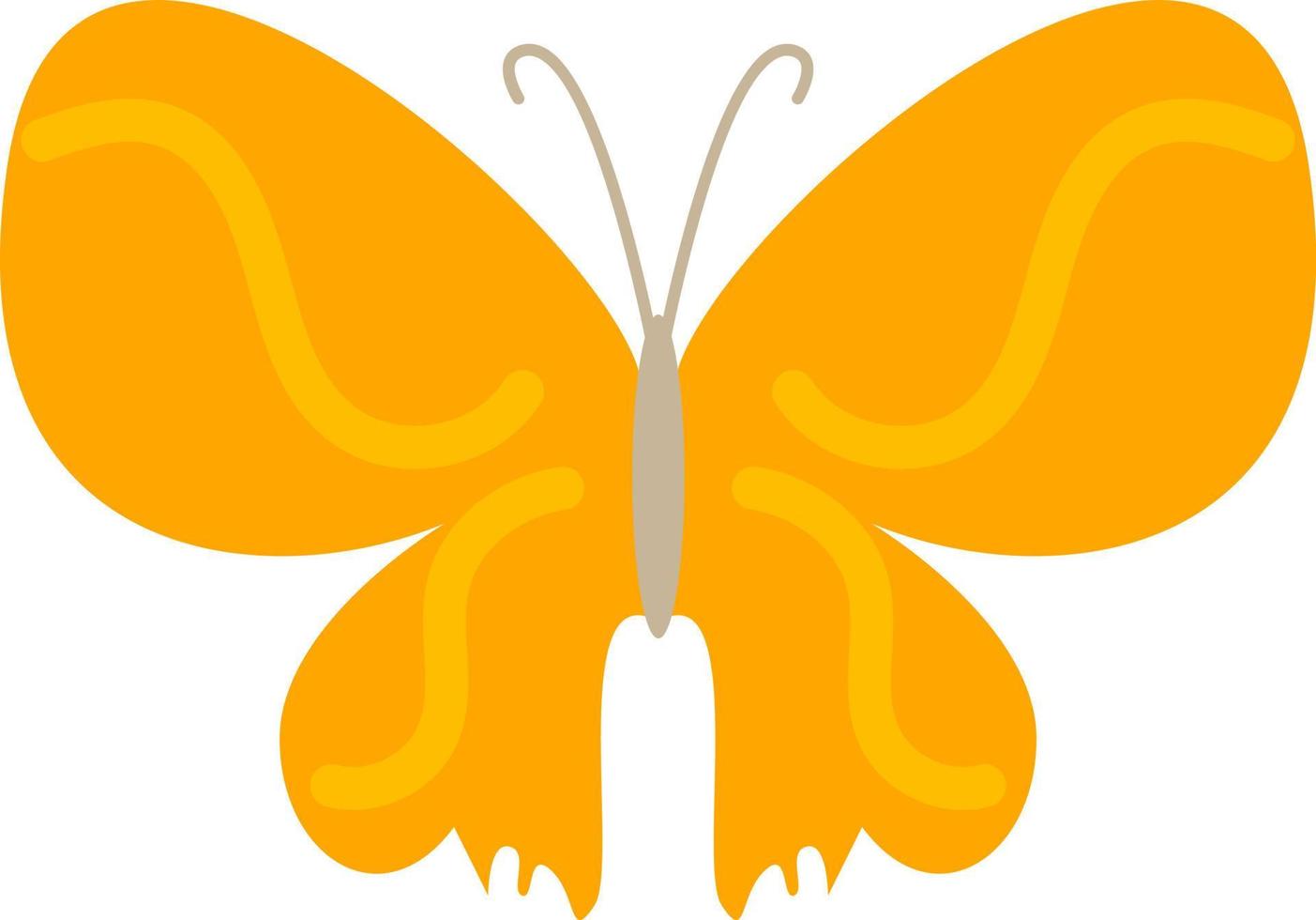 Bright colored butterfly, illustration, vector, on a white background. vector
