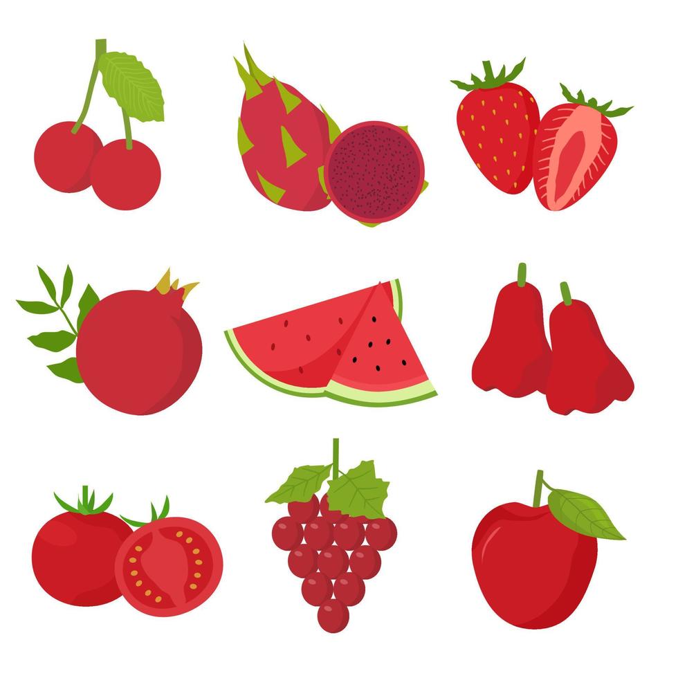 collection of red fruits element vector