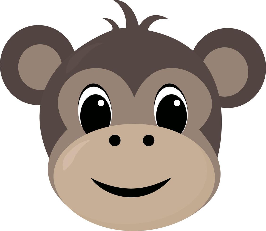 Monkey head, illustration, vector on white background.