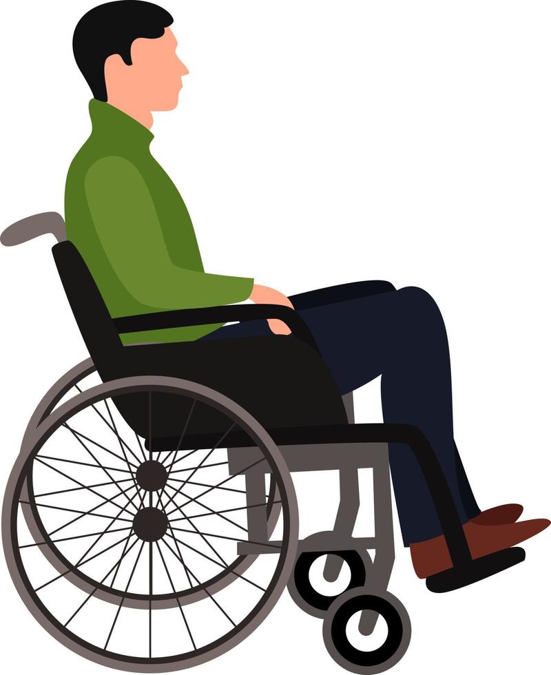 Wheelchair man, illustration, vector on white background