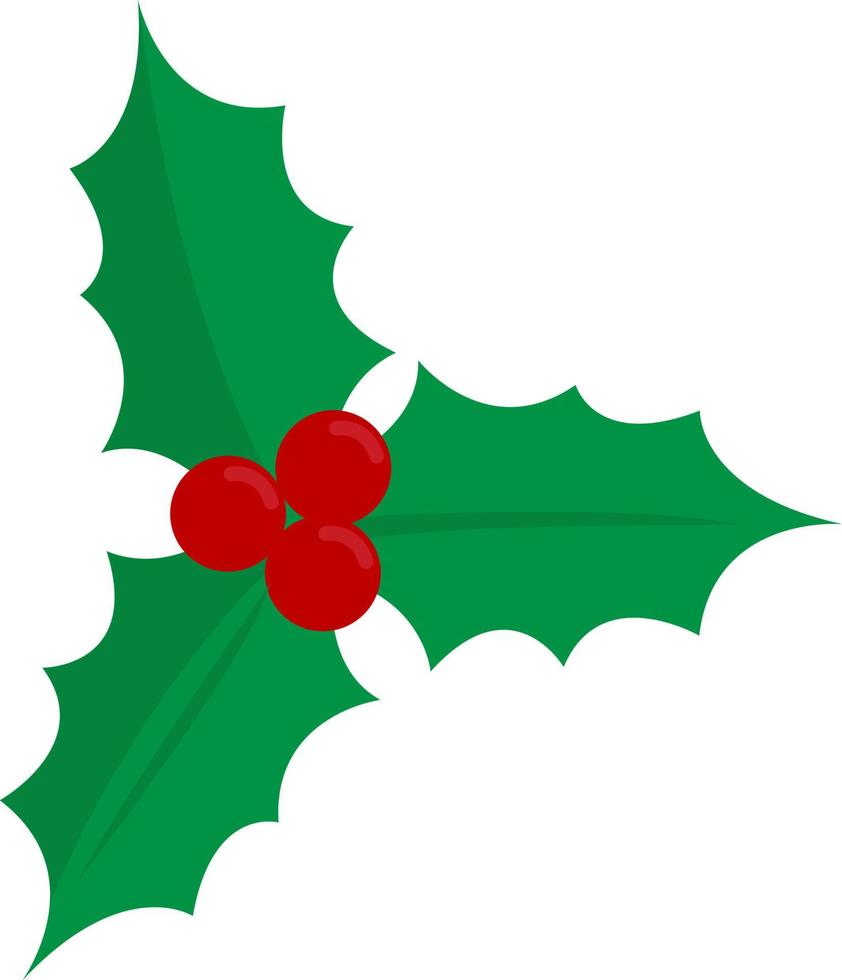 Christmas branch, illustration, vector on white background.