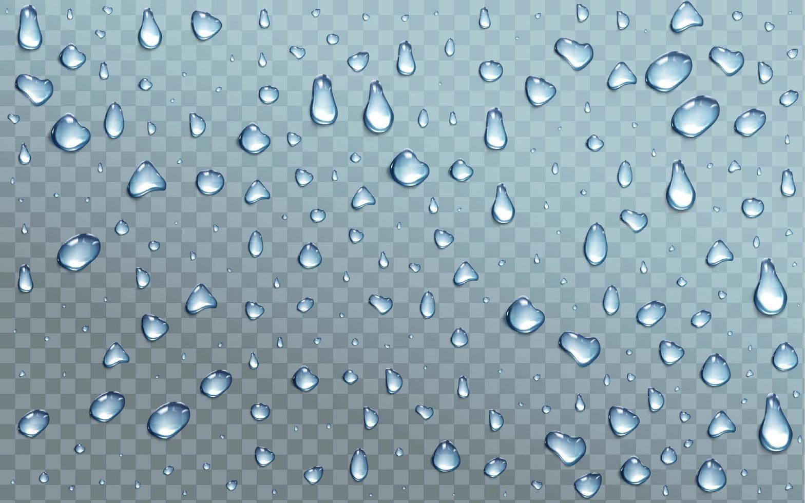 Water drops on transparent background, droplets vector