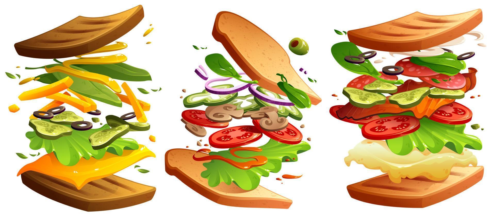 Sandwiches with bread, cheese, lettuce, ham vector