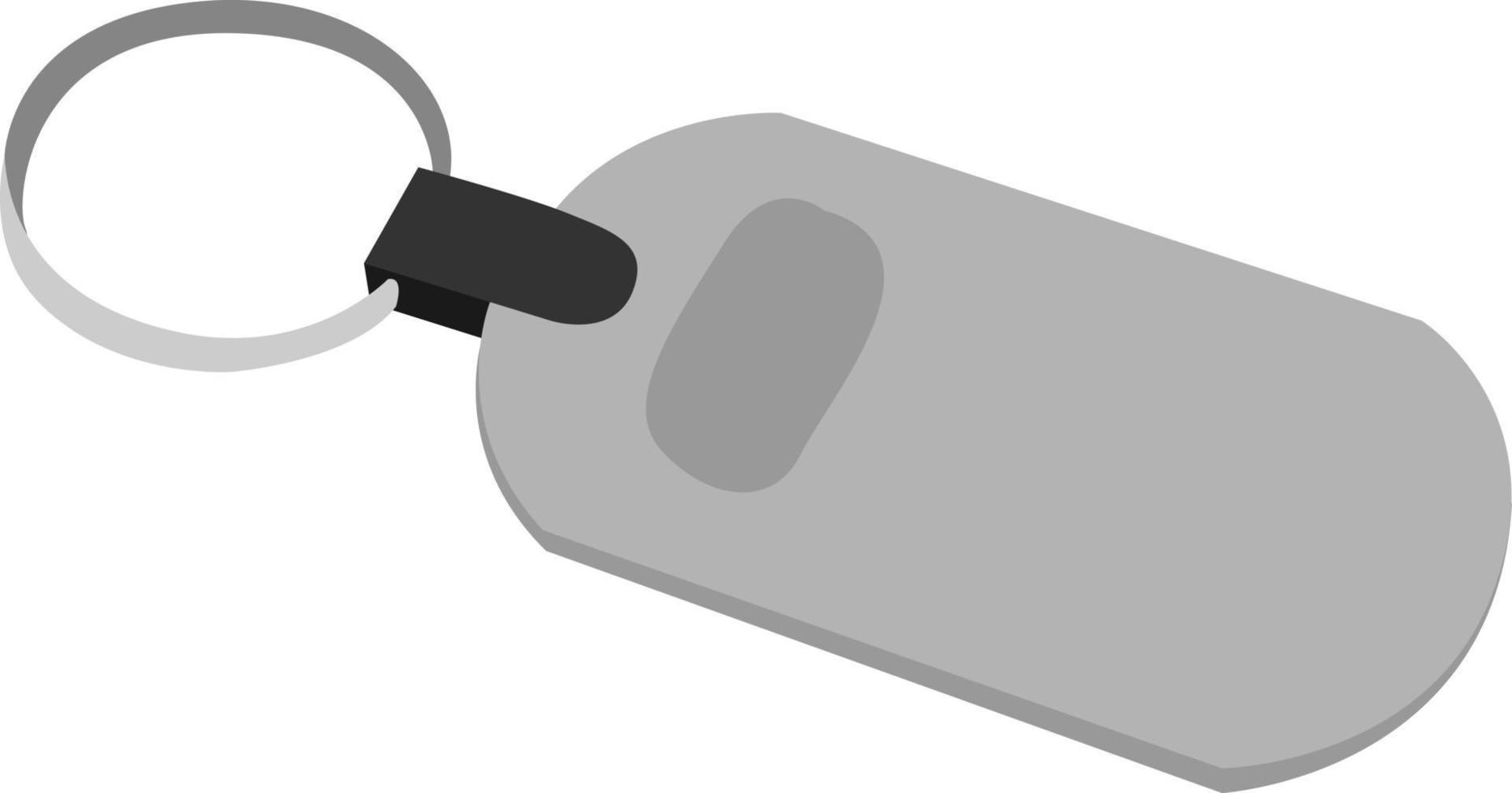 Keychain, illustration, vector on white background.