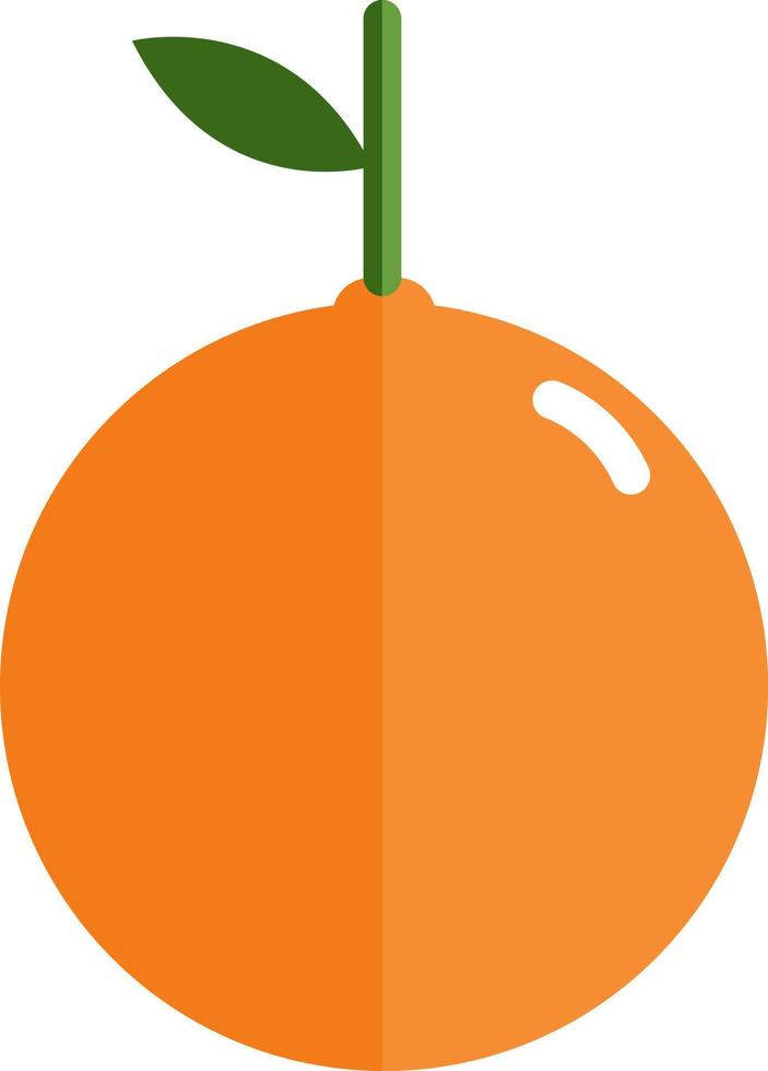 naranja la fruta, ilustración, vector sobre fondo blanco.