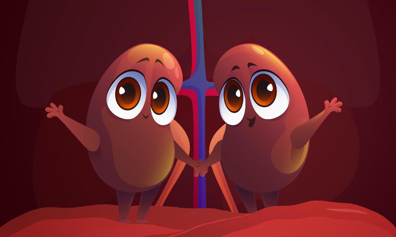 Cute characters of kidneys, human internal organs vector
