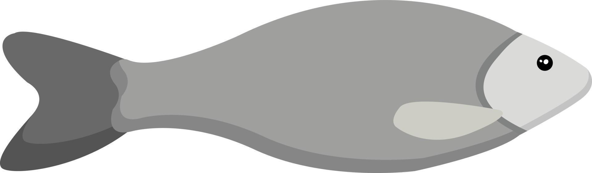 Grey fish, illustration, vector on white background.