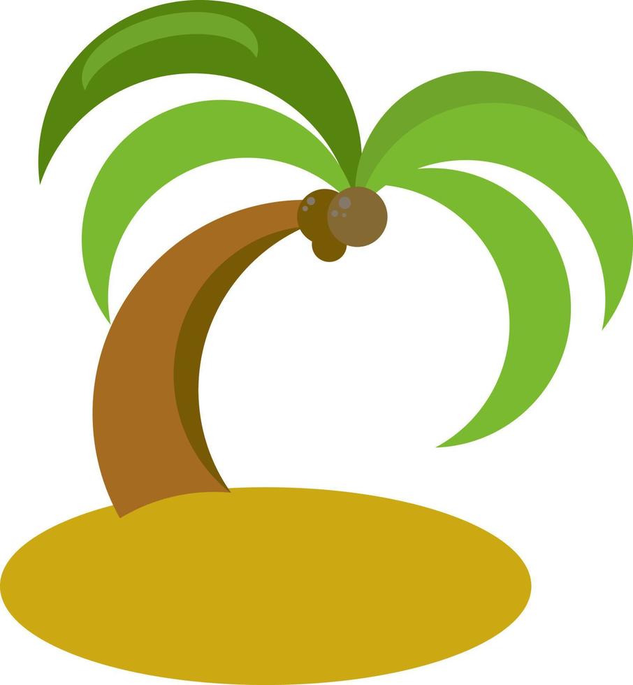 Coconut tree, illustration, vector on white background.