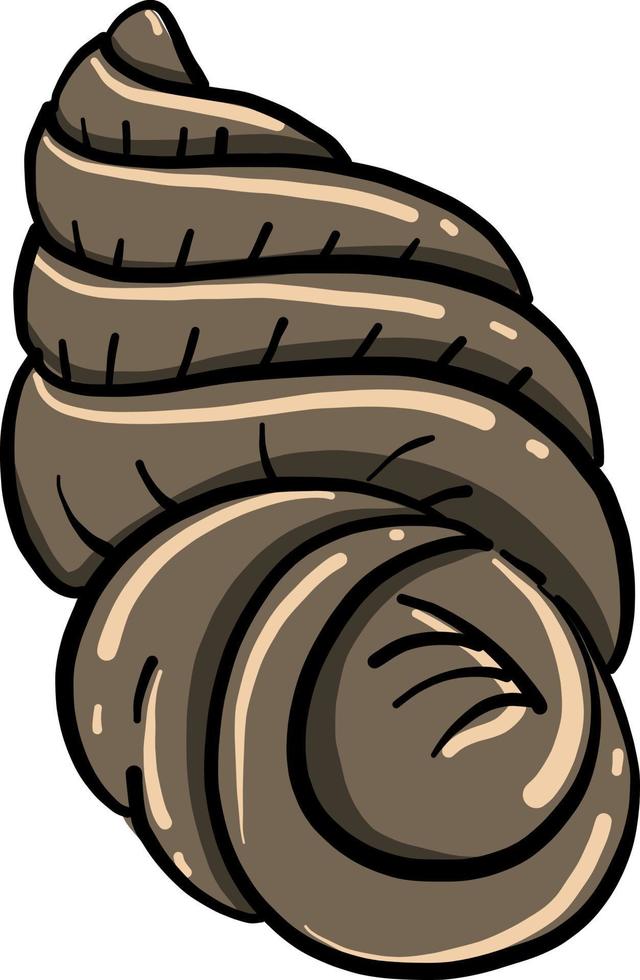 Brown shell, illustration, vector on white background