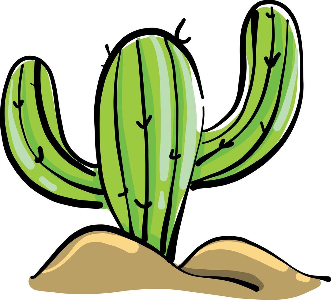 cactus en arena, ilustración, vector sobre fondo blanco.