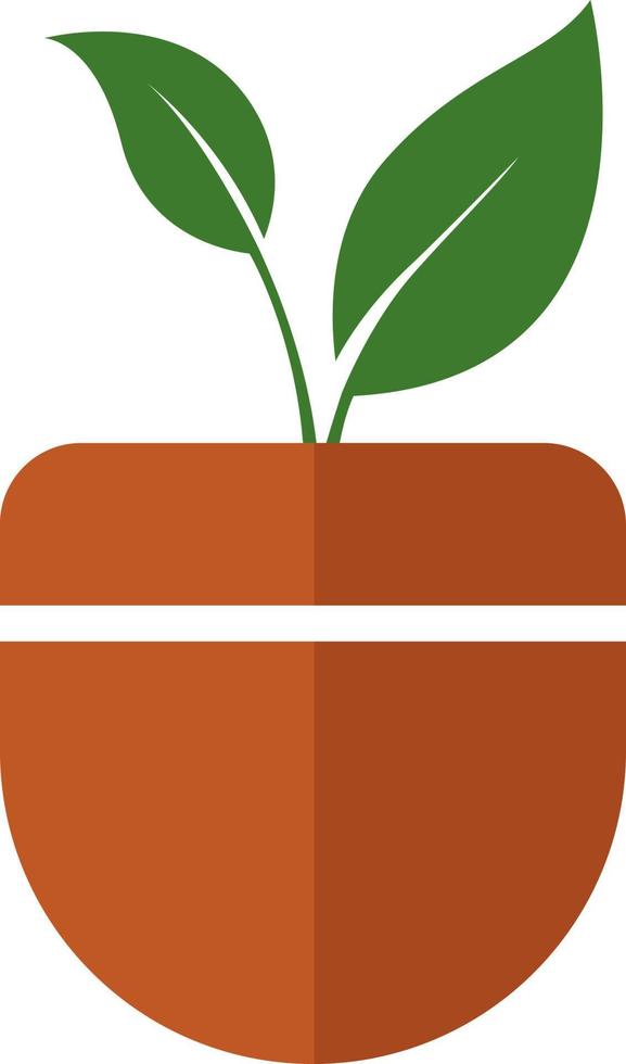 Indoor plant in a pot, illustration, vector on white background.