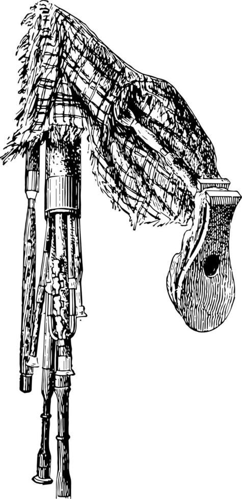 Highland Bagpipe, vintage illustration. vector