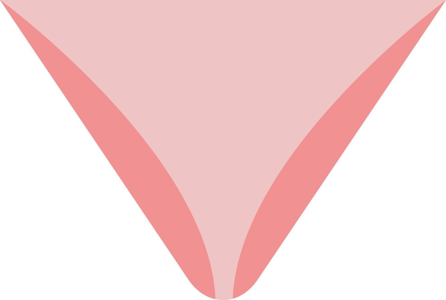 Underwear bikini, illustration, vector, on a white background. vector