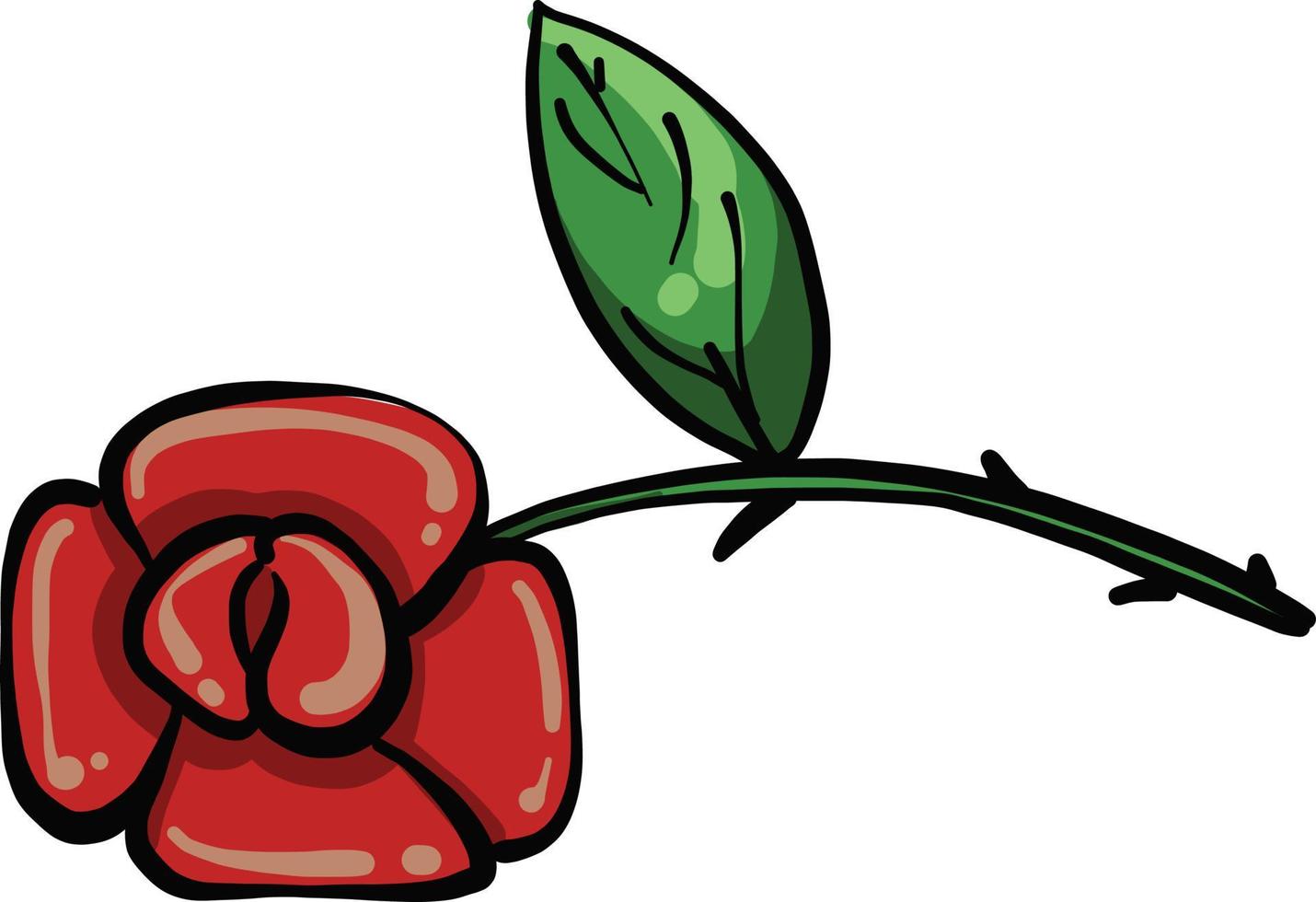 One red rose, illustration, vector on a white background.