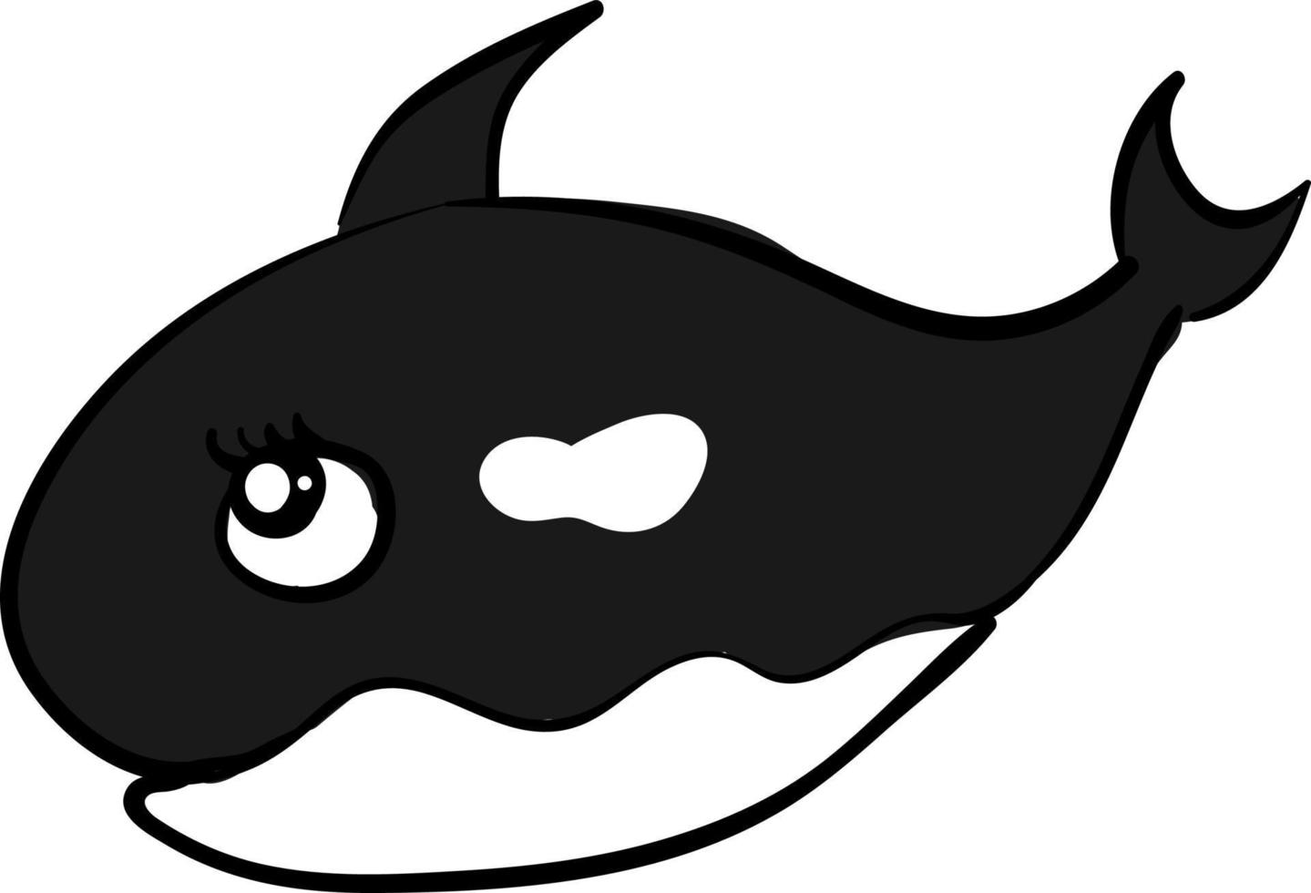 Happy killer whale, illustration, vector on white background.