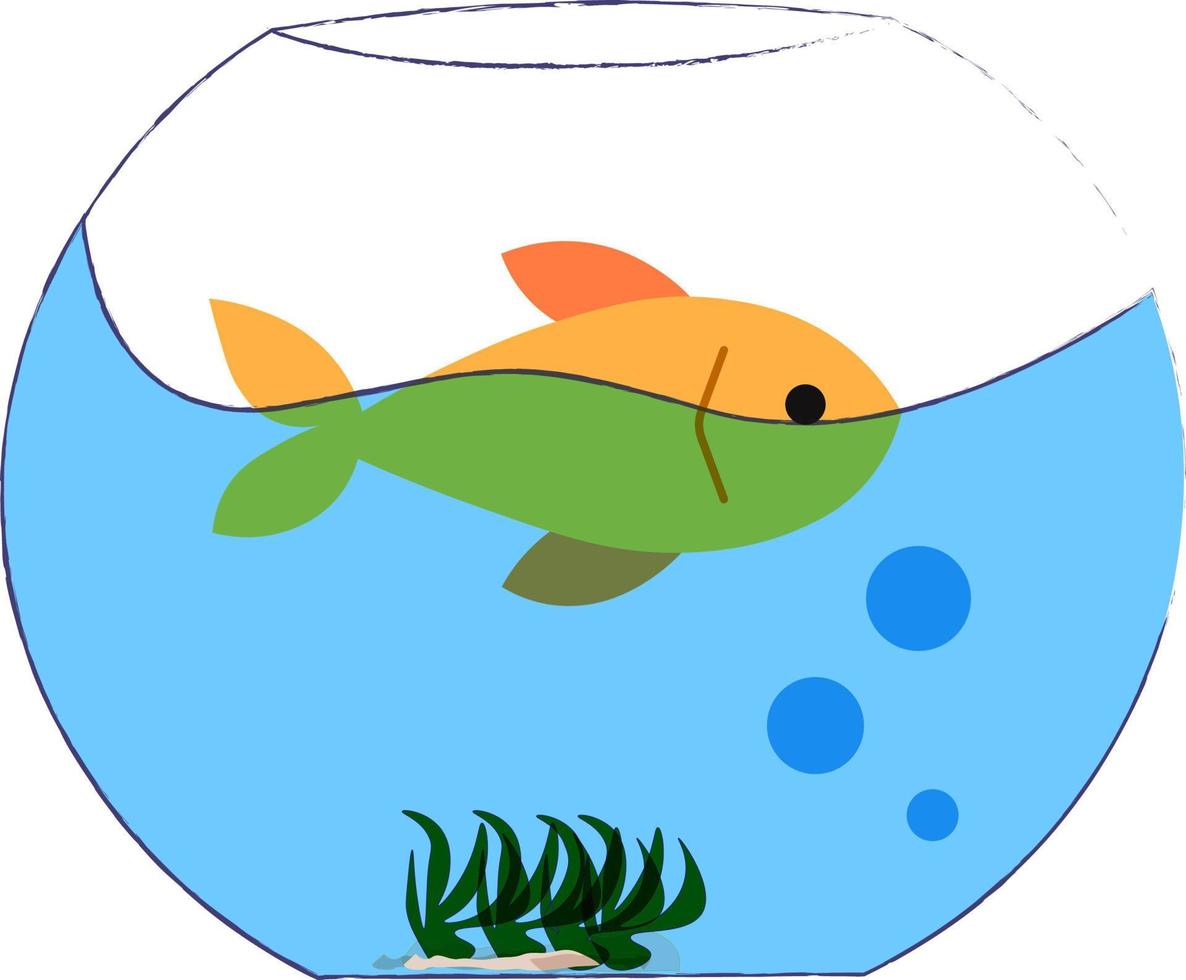 Fish in a tank, illustration, vector on white background.