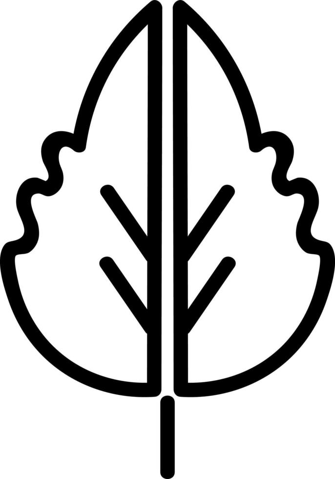 Leaf in half, illustration, vector on white background.