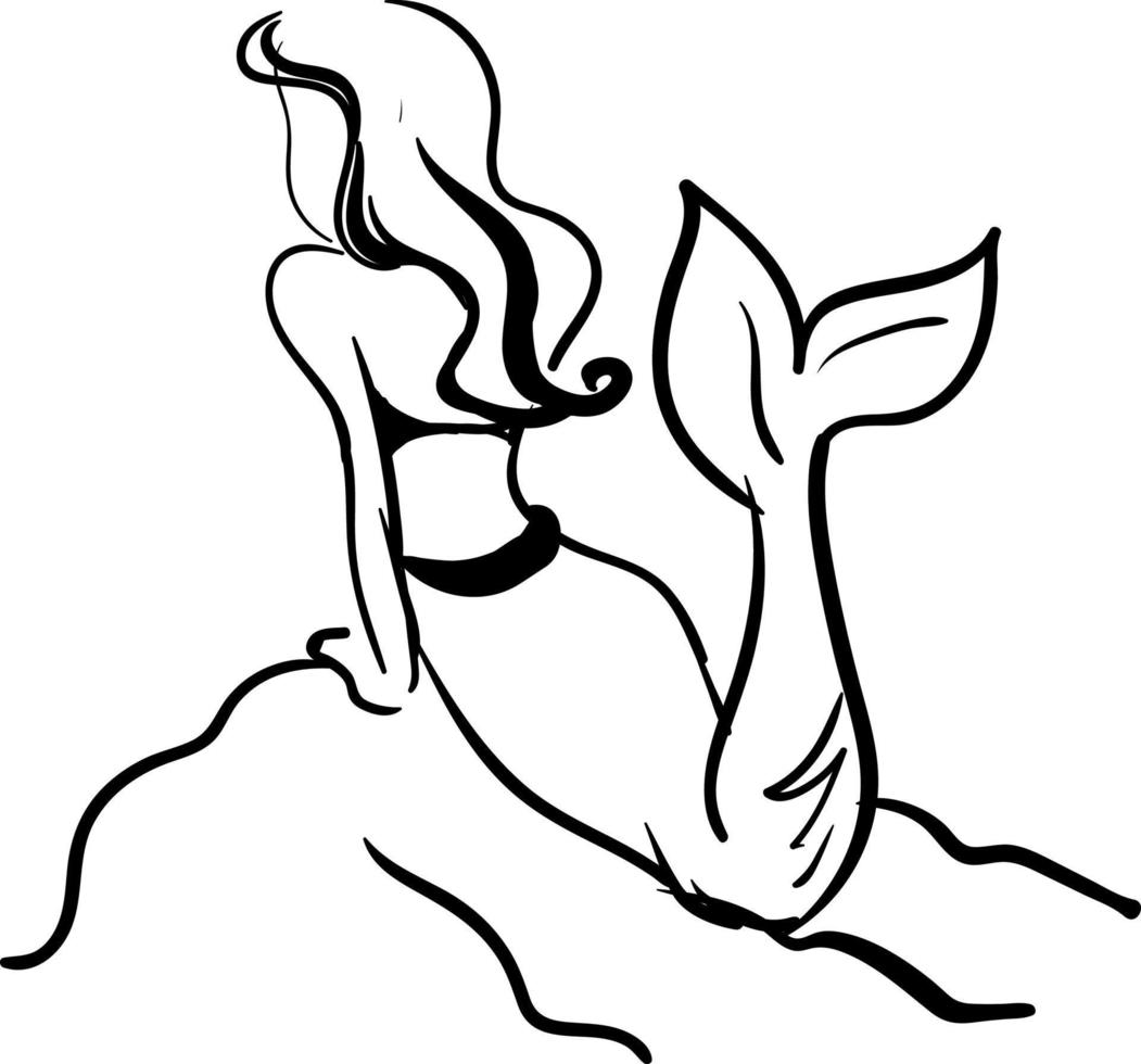 Mermaid drawing, illustration, vector on white background