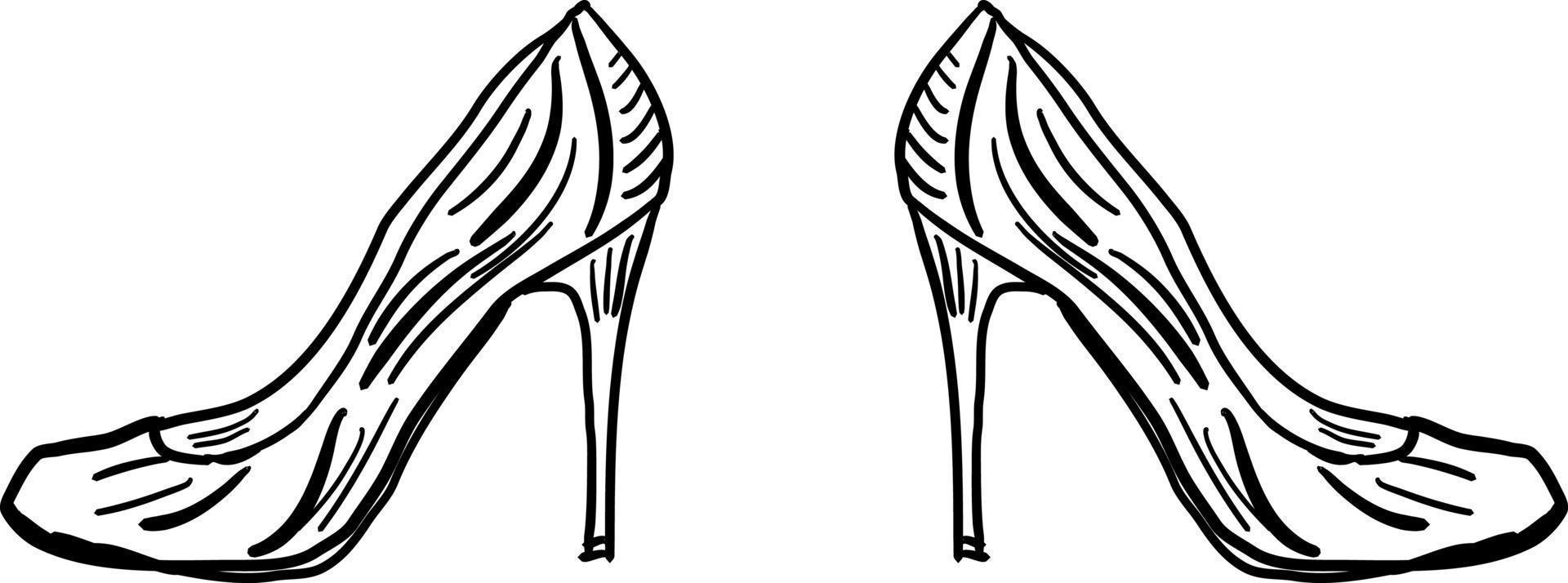 Ladies heels, illustration, vector on white background.