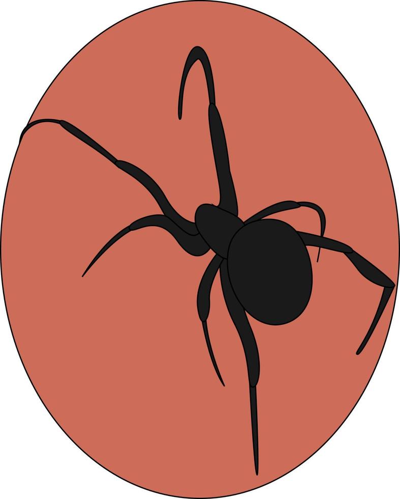 araña negra, ilustración, vector sobre fondo blanco.