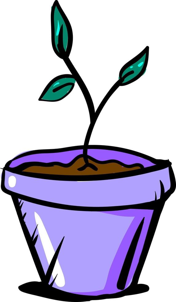 Plant in pot, illustration, vector on white background.