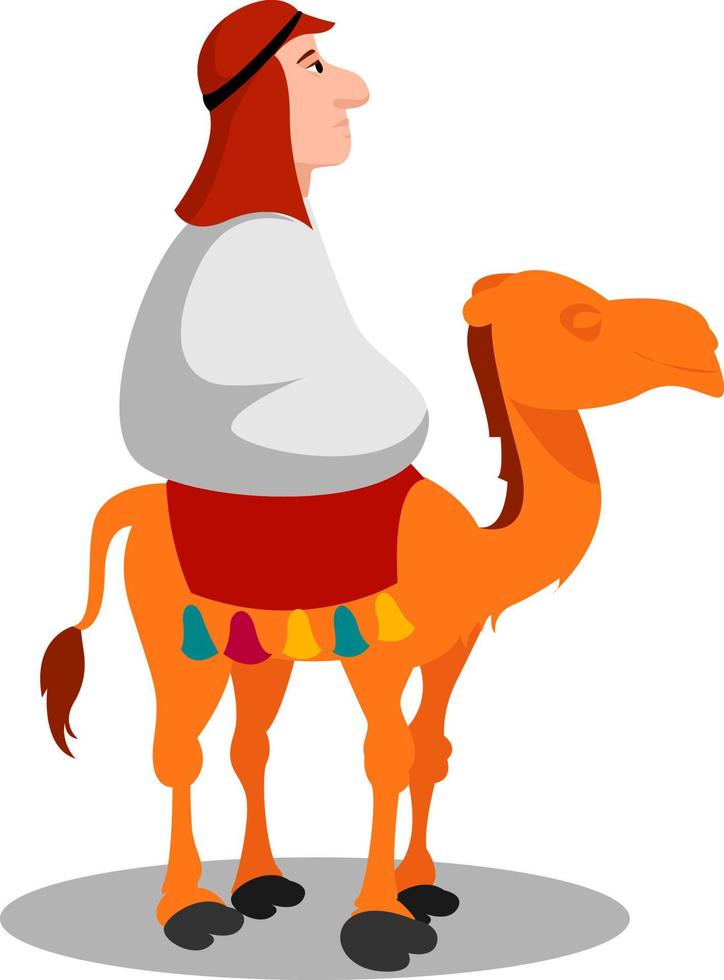 Camel, illustration, vector on white background.