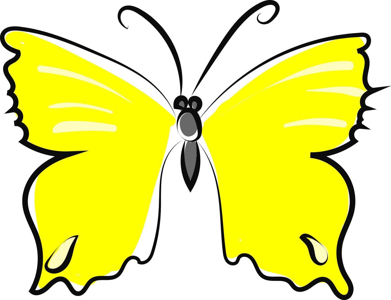 mariposa amarilla, ilustración, vector sobre fondo blanco.