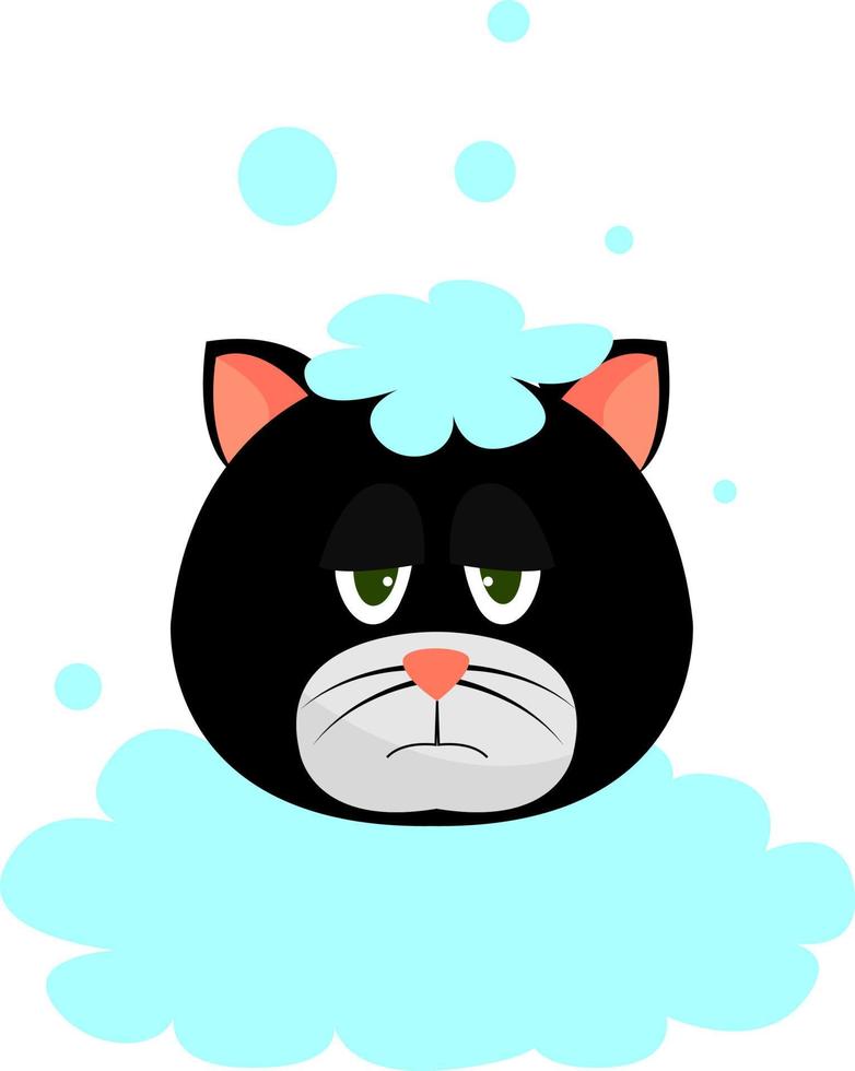 Angry cat, illustration, vector on white background.