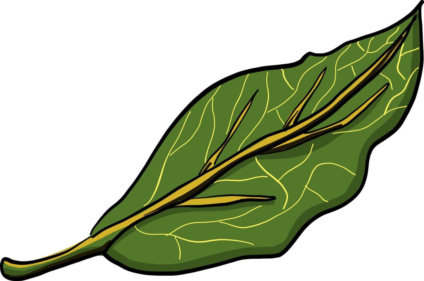 Bay leaf, illustration, vector on white background