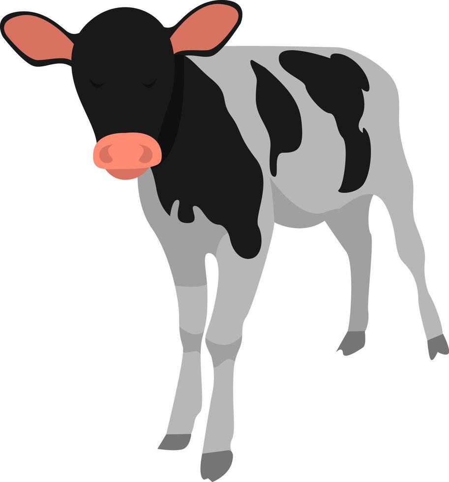 Black and white cow, illustration, vector on white background