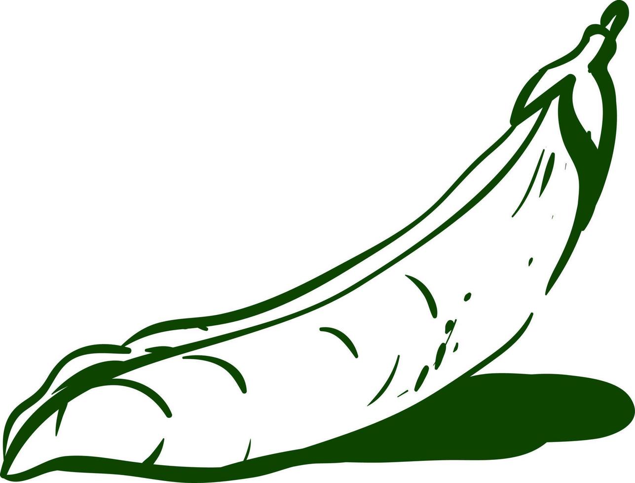 Peas drawing, illustration, vector on white background.
