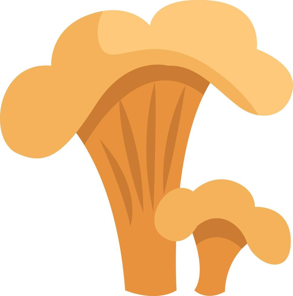 Brown chanterelle mushroom, icon illustration, vector on white background