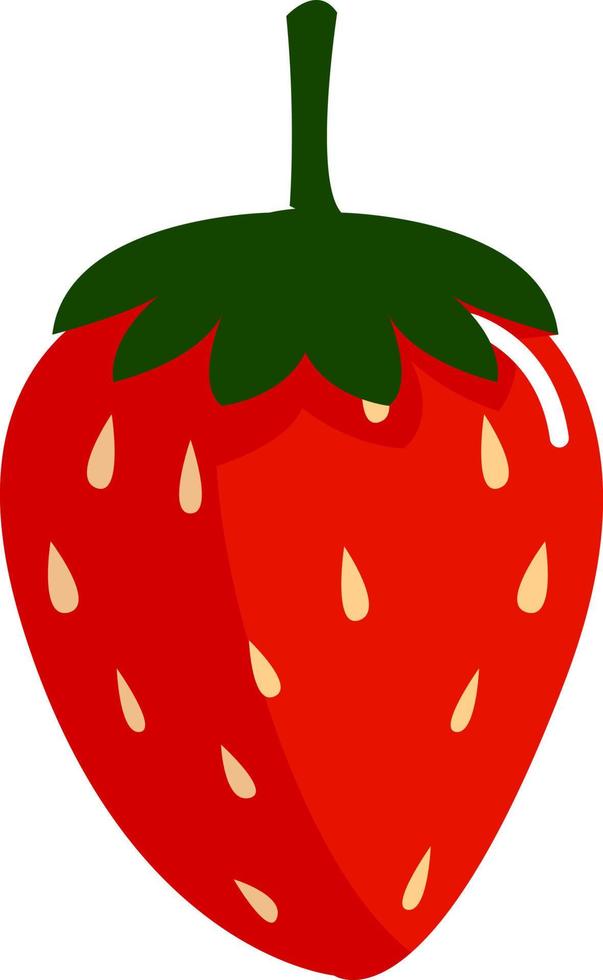 Red strawberry, illustration, vector on white background.