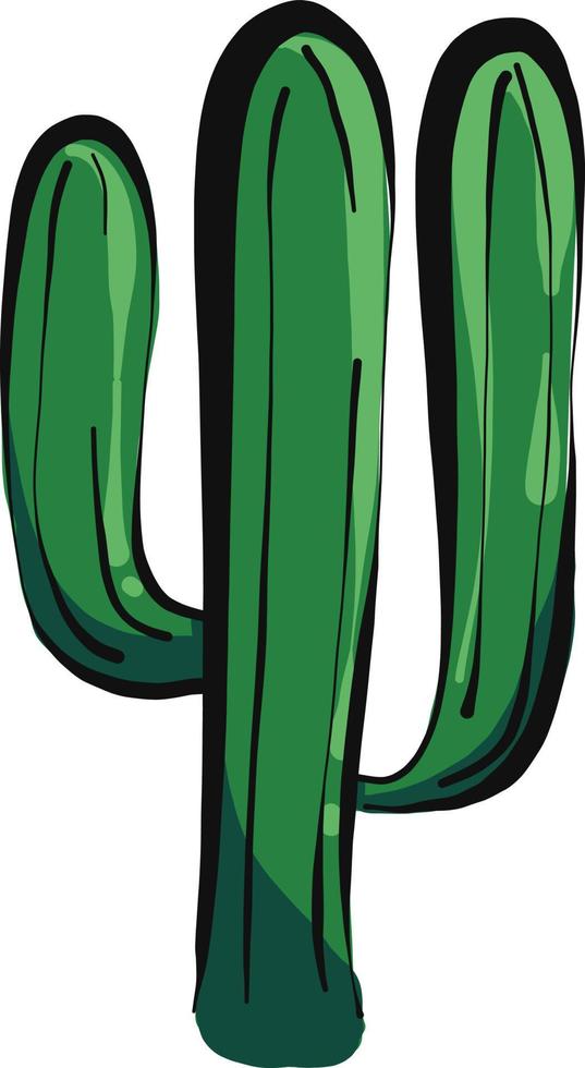 Green cactus, illustration, vector on a white background.